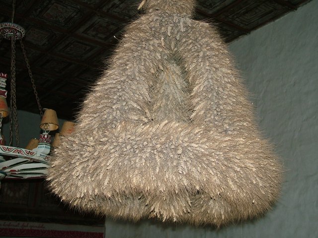 Magyarvista 5